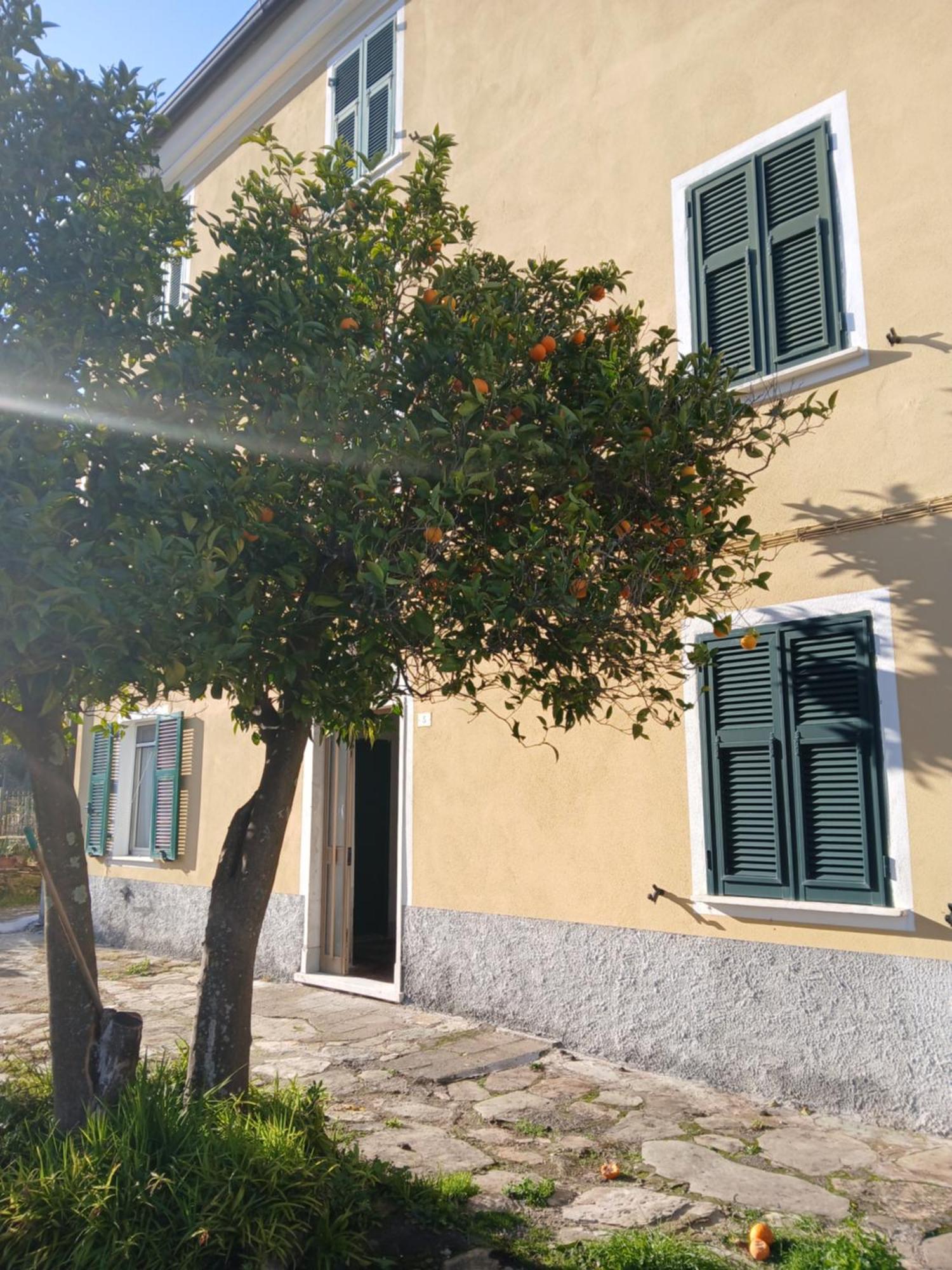 Casa Misha Tra 5 Terre E Versilia Bocca di Magra Exterior foto